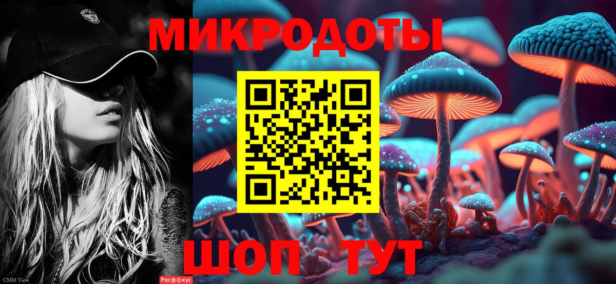 Пенза  Псилоцибиновые грибы мицелий  Вход с VPN 