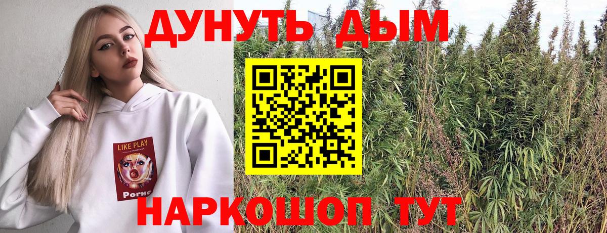 Каннабис ГИДРОПОН Пенза
